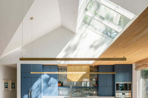 A-blackLAB_city-lake 016